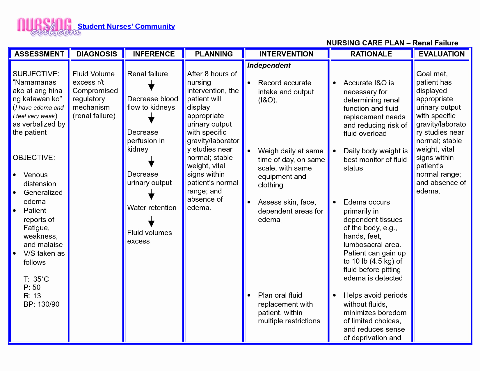 30 Nursing Care Plan | Example Document Template