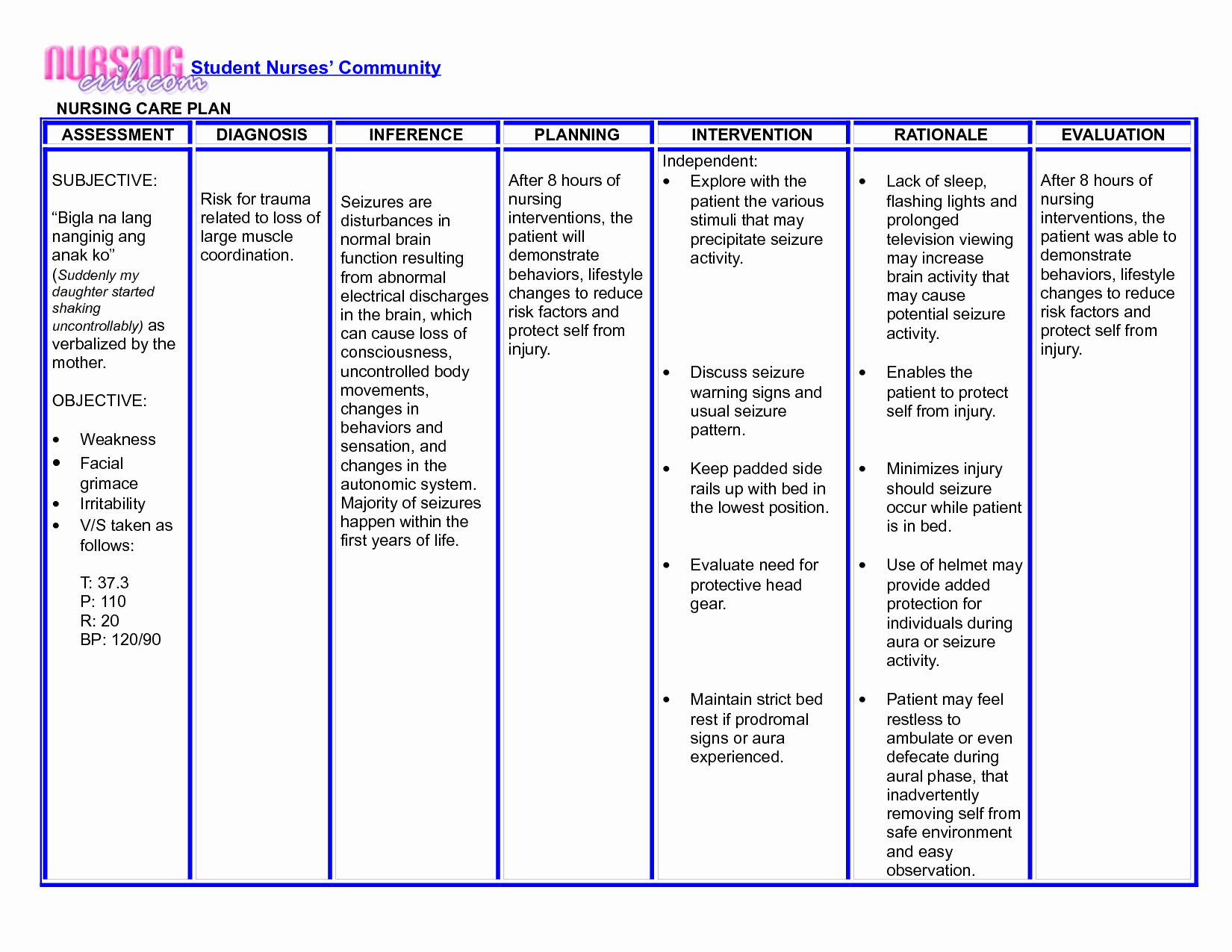 30 Nursing Care Plan Example Document Template