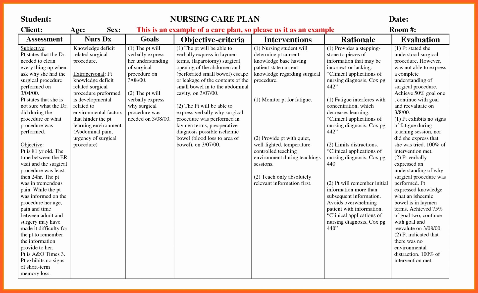 Nursing Home Care Plan Template Elegant Veterinary Home Care Plan Template