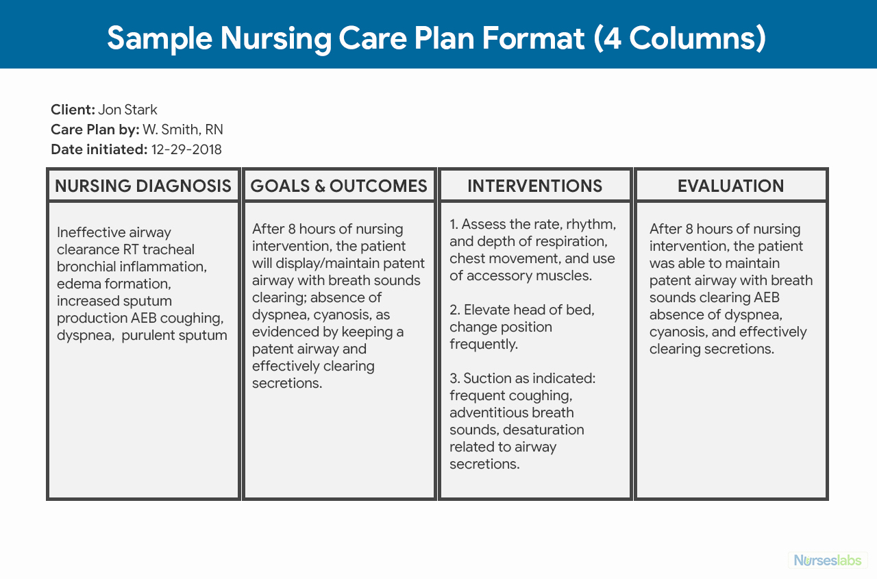 Nursing Home Care Plan Template New Nursing Care Plan Ncp Ultimate Guide and Database