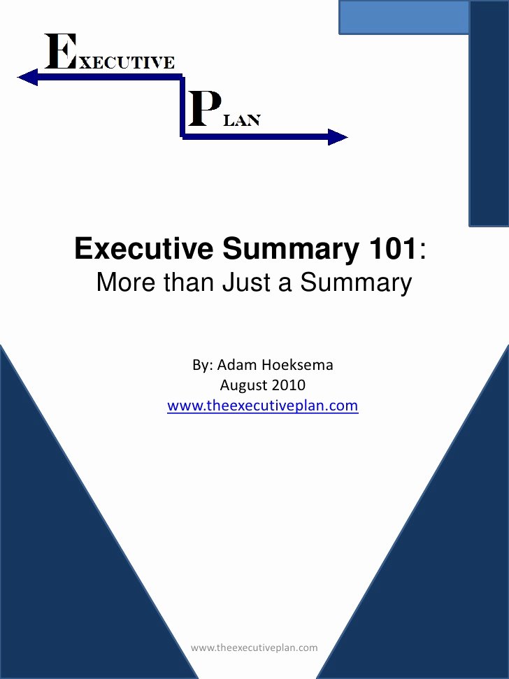 One Page Executive Summary Sample Fresh Executive Summary 101