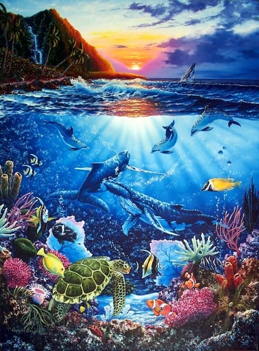 Paintings Of Fish Underwater Inspirational Beautiful Blue Daniel Bergren Dolphin Dolphins Image