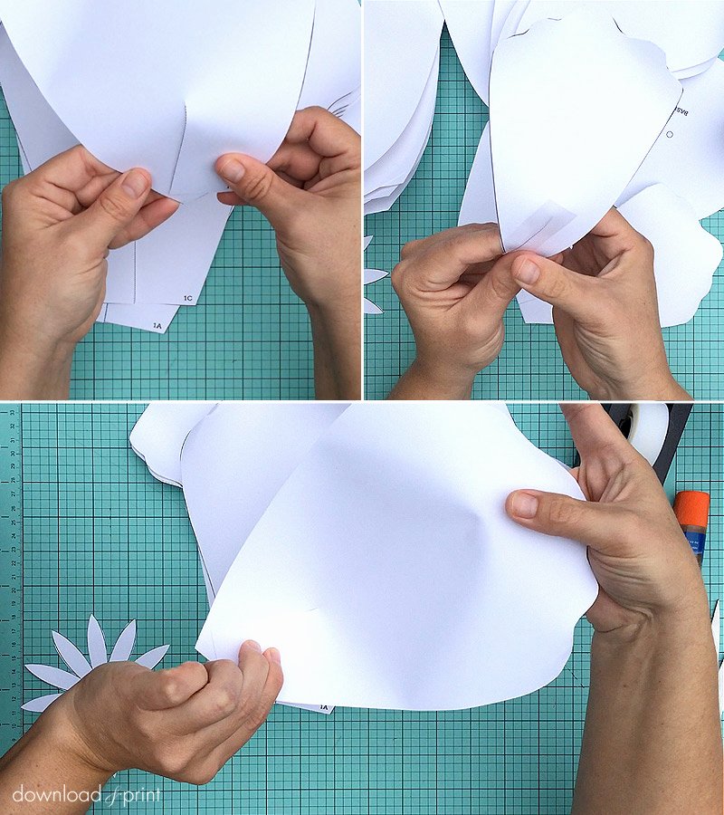 Paper Flower Petal Template Elegant How to Make Giant Paper Roses Plus A Free Petal Template