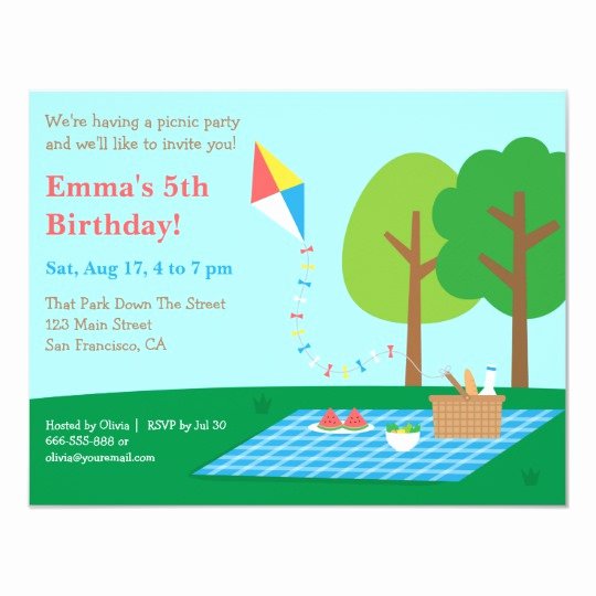 Picnic Birthday Party Invitations Best Of Kite Park Picnic Birthday Party Invitations