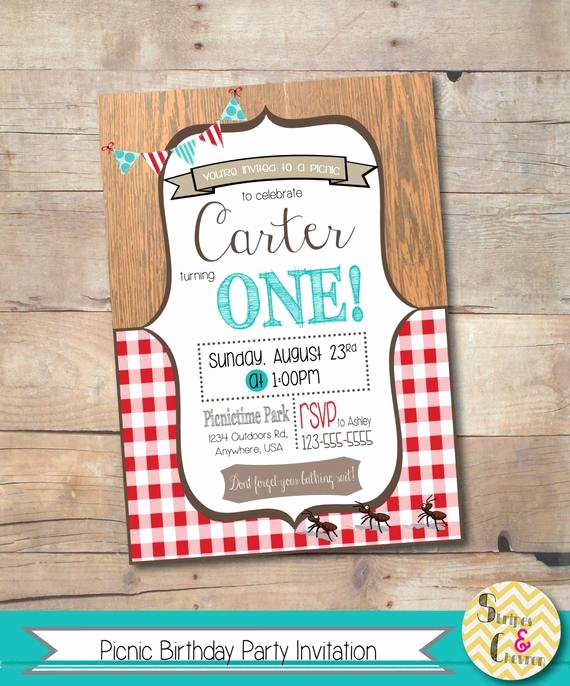 Picnic Birthday Party Invitations Best Of Picnic Party Invitation Picnic Birthday Party Summer