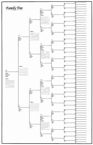 Picture Of Family Tree Chart Beautiful Family Tree Chart