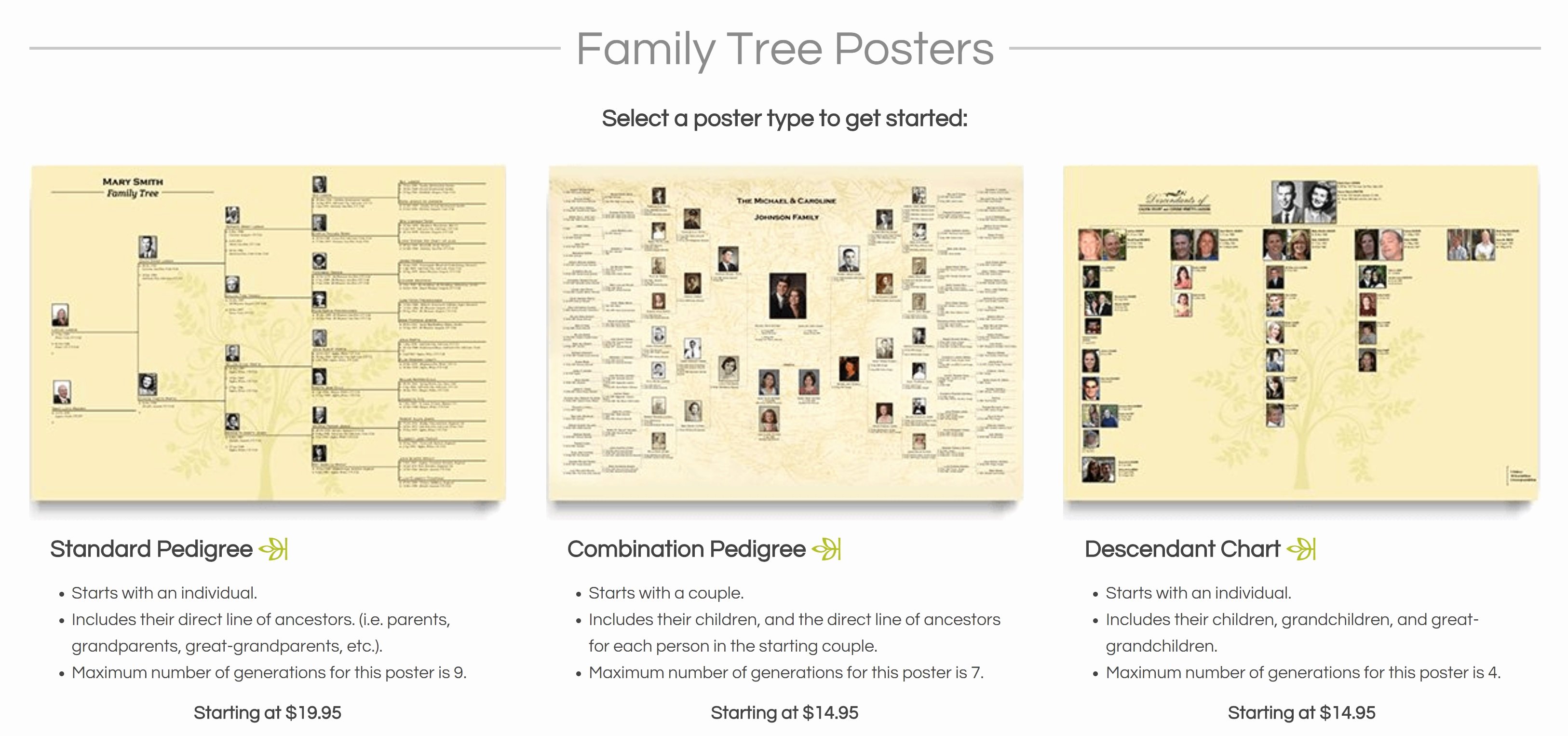 Picture Of Family Tree Chart Lovely How to Create Beautiful Family Tree Charts On Myheritage