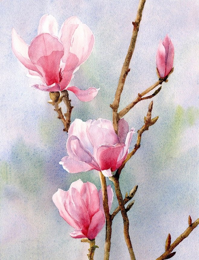 Picture Of Flowers to Paint New Famous Watercolor Flower Paintings – Weneedfun