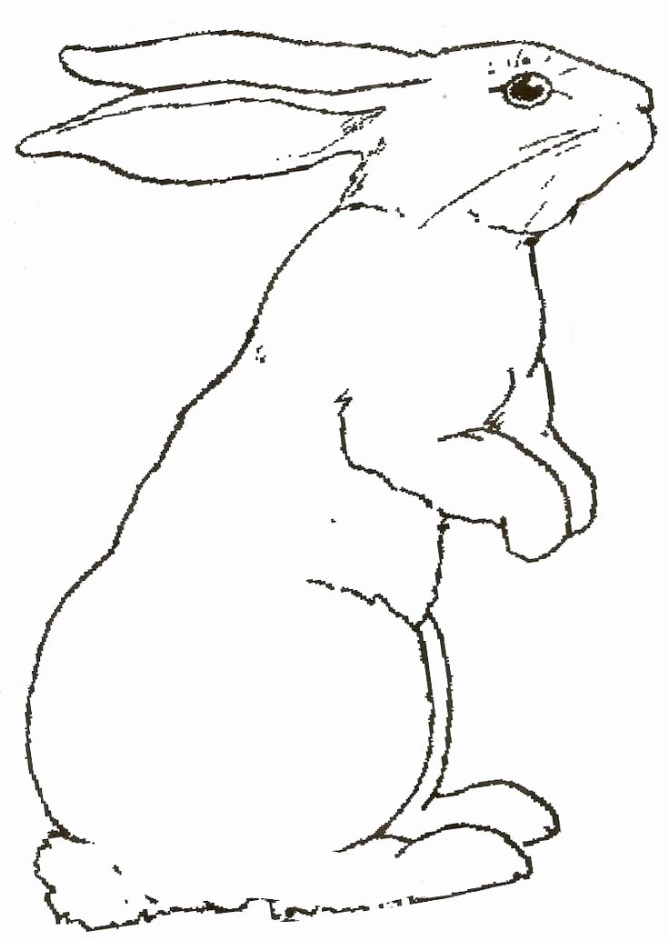 Pictures Of Bunnies to Print Awesome Free Coloring Of Rabbits