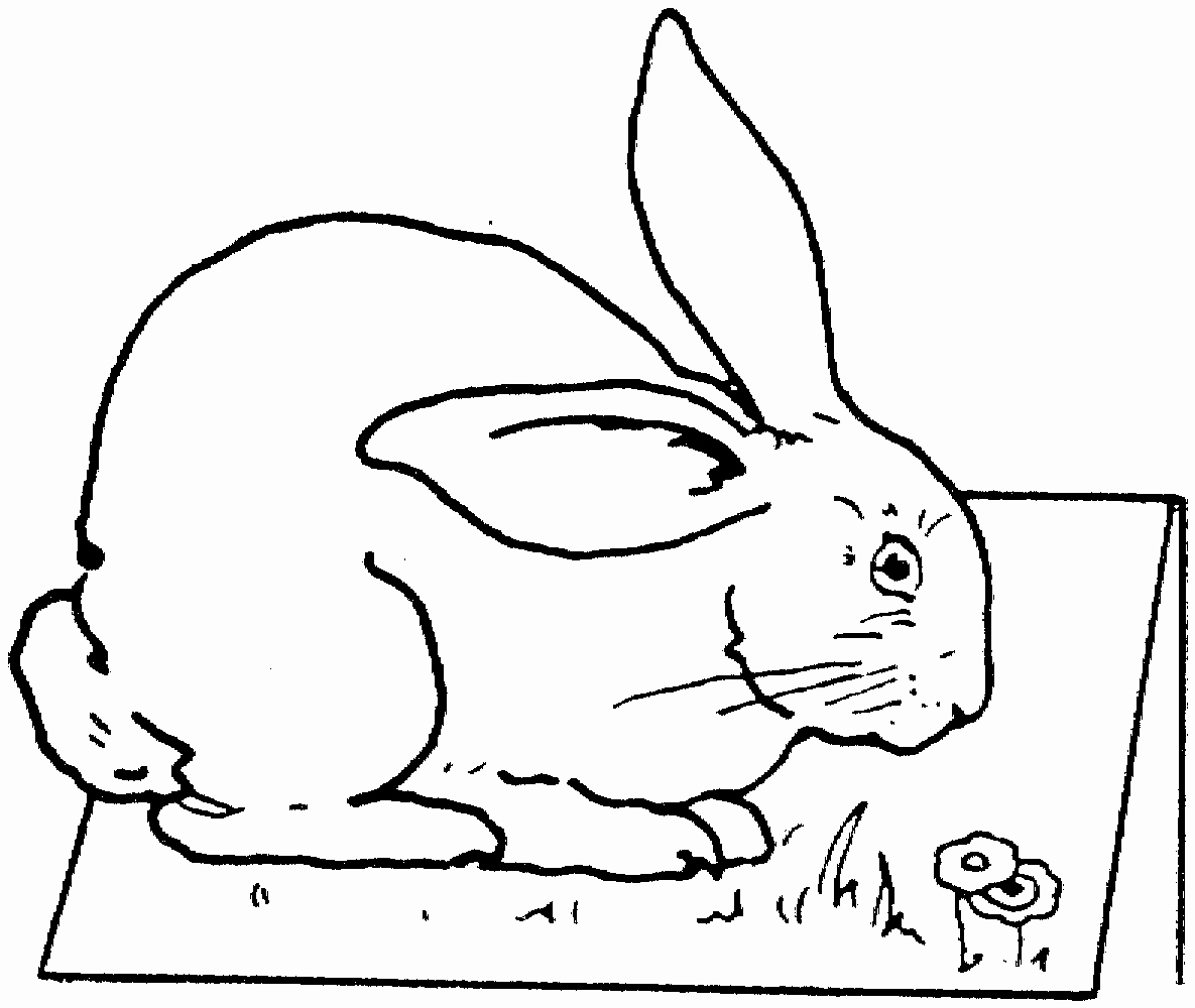 Pictures Of Bunnies to Print Inspirational Free Printable Rabbit Coloring Pages for Kids