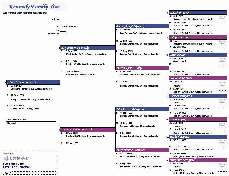 Pictures Of Family Trees Examples Inspirational Kennedy Family Tree