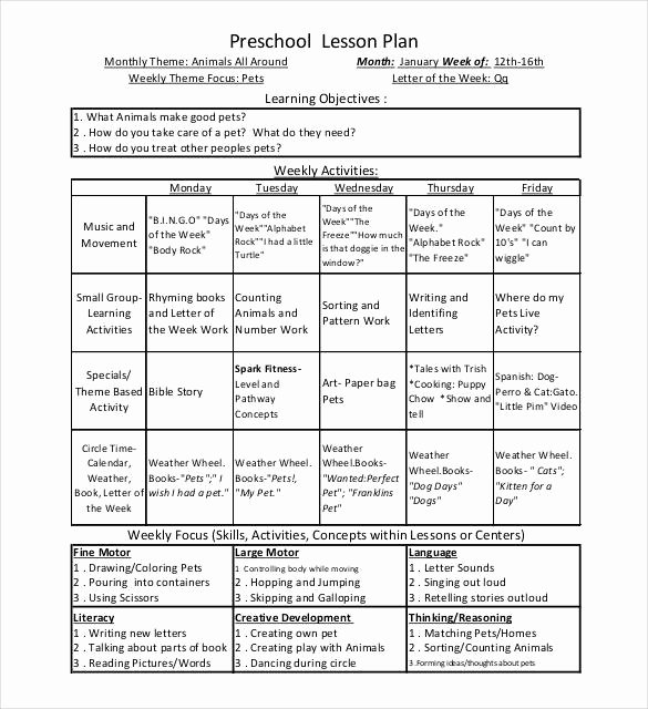 30 Preschool Lesson Plan Examples Example Document Template