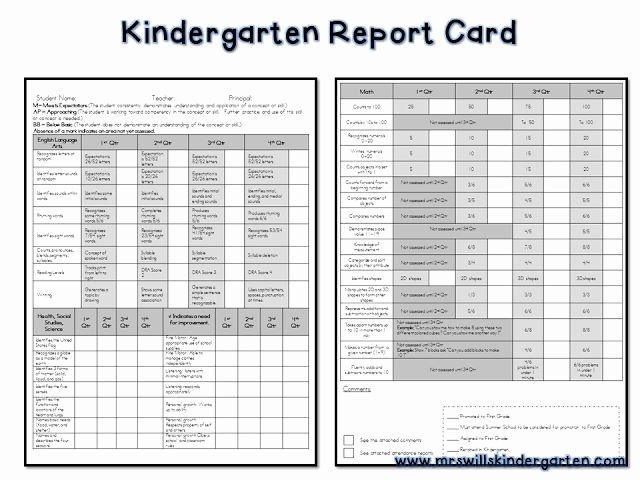 Preschool Report Card Template Unique Free Report Card Template