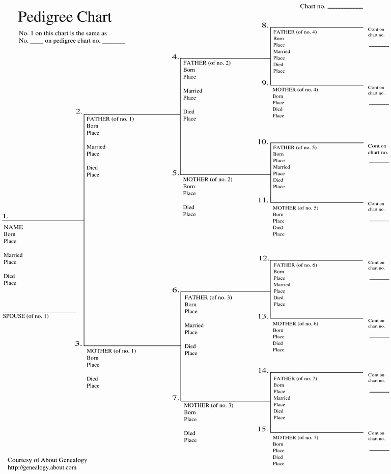 Print Family Tree Chart Inspirational Free Genealogy Charts and forms