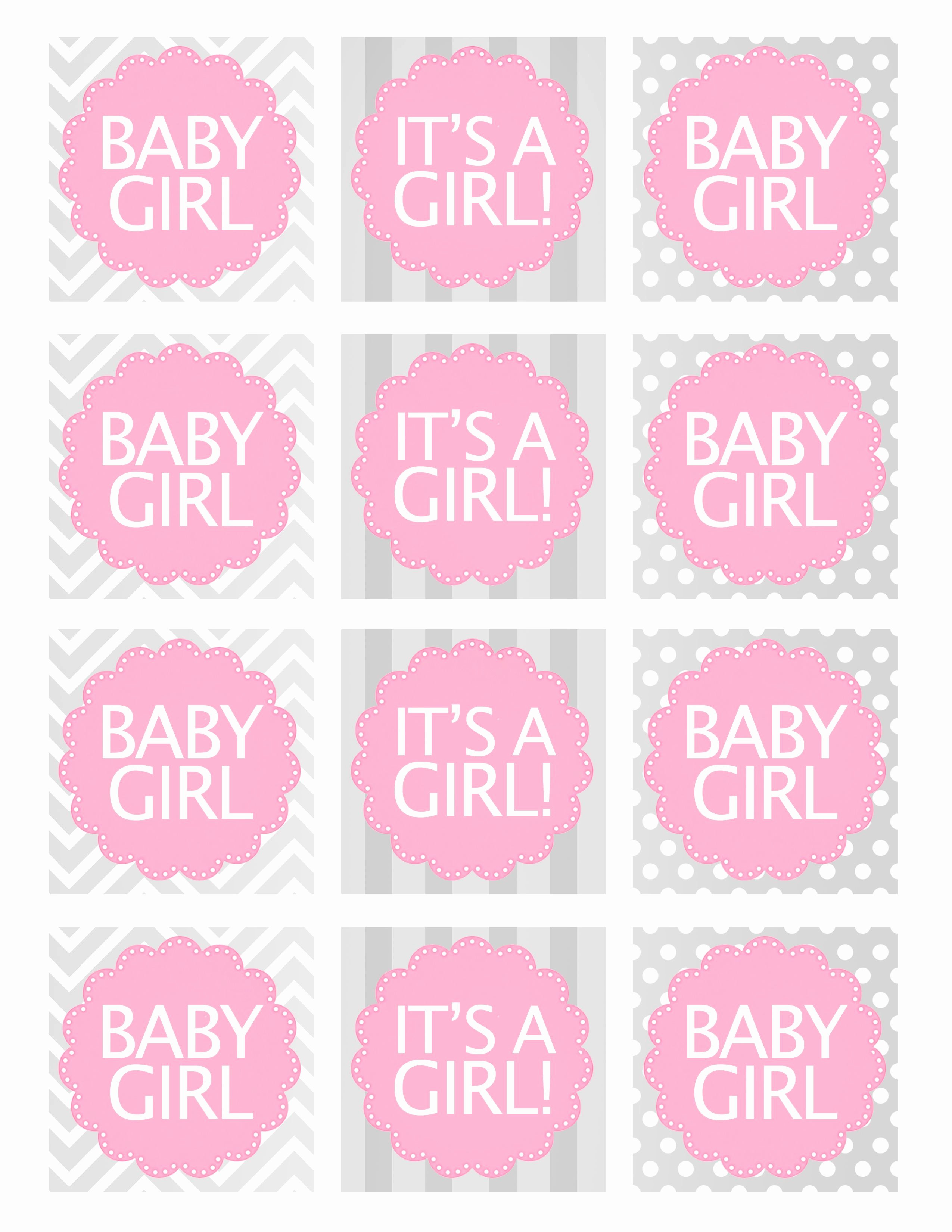 Printable Baby Shower Favor Tags Best Of Baby Girl Shower Free Printables