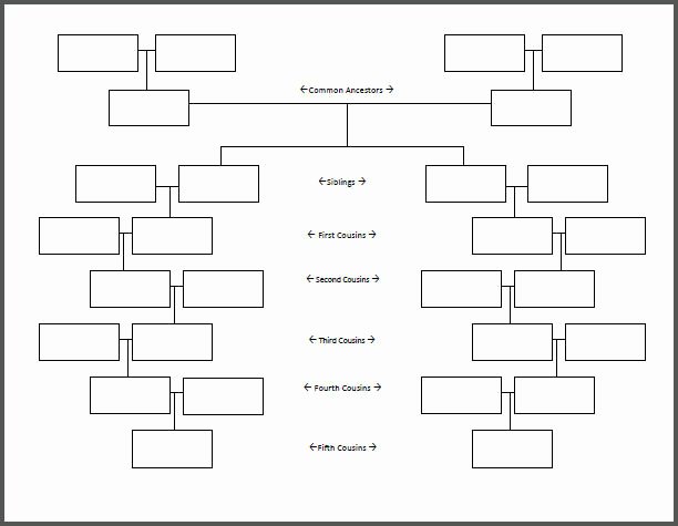 Printable Blank Family Tree New Family Tree Chart for Cousins Free Genealogy Sheet