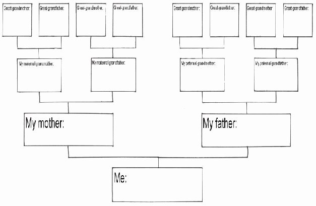 Printable Blank Family Tree New Free Printable Family History Chart
