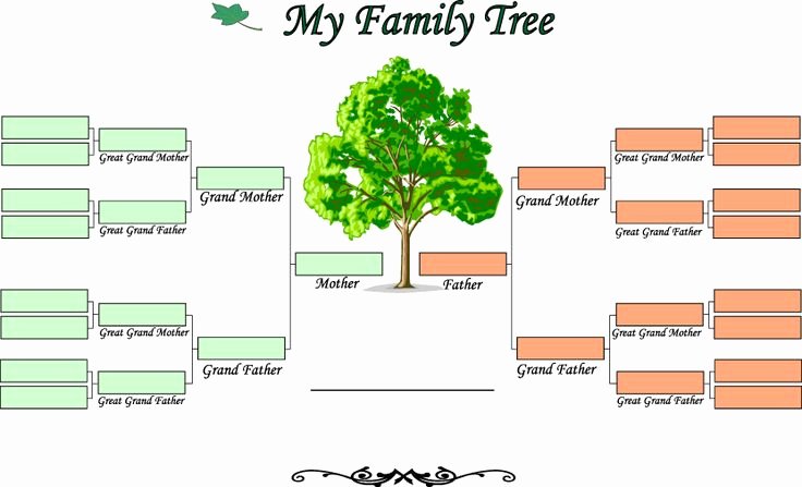 Printable Blank Family Tree Unique Printable Blank Family Tree