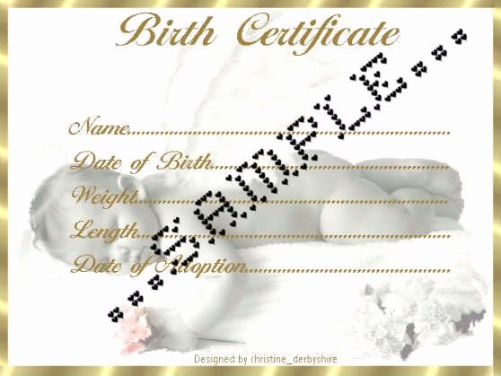 Printable Fake Birth Certificates Best Of Gold Framed Birth Certificate Certificates 4 Reborn Fake