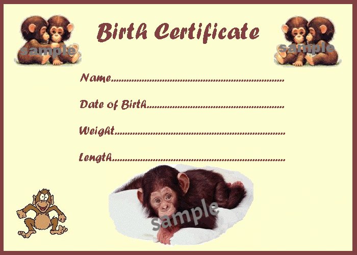 Printable Fake Birth Certificates Elegant Cute Monkey Birth Certificate Certificates 4 Reborn Fake