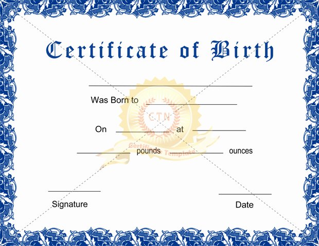 Printable Fake Birth Certificates Elegant Printable Birth Certificate Templates