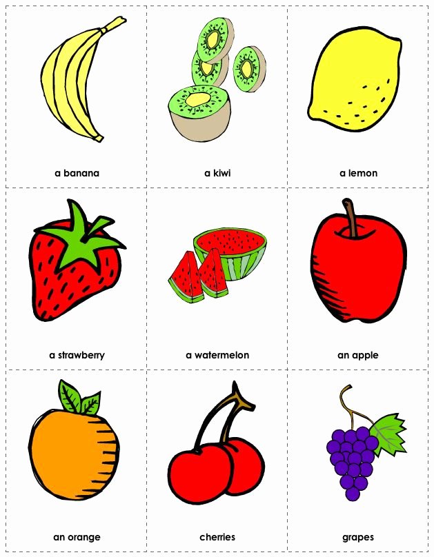 Printable Flashcards for Babies Beautiful 1000 Images About Flash Cards On Pinterest