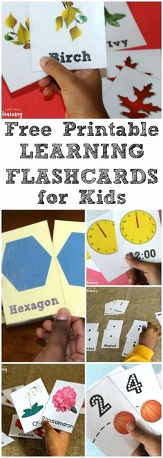 Printable Flashcards for Babies Inspirational 76 Best Free Printable Flashcards Images