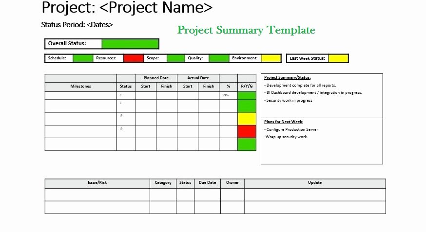 Project Executive Summary Template Word Awesome Get Project Summary Template