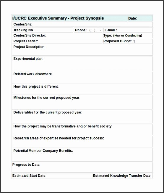 Project Executive Summary Template Word Beautiful 8 Project Summary Template Word Sampletemplatess