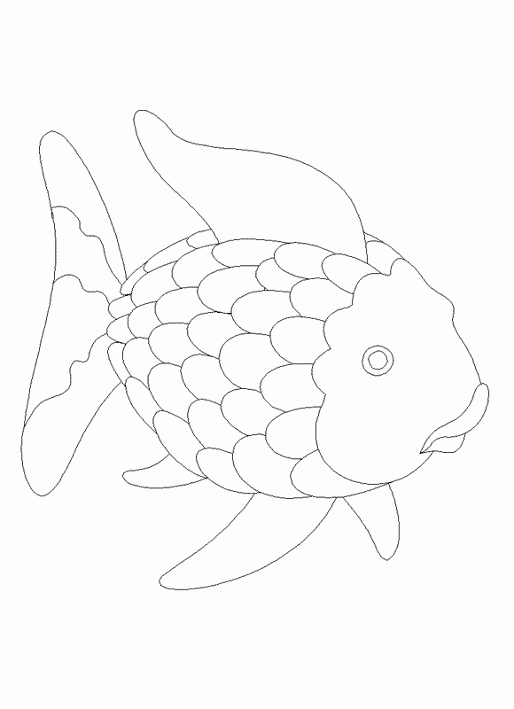 Rainbow Fish Printable Template Best Of Free Rainbow Fish Template Download Free Clip Art Free