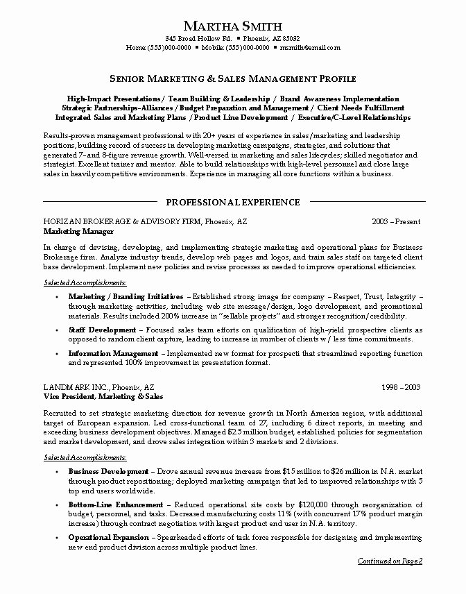 Sales and Marketing Resumes Samples Awesome Sales and Marketing Resume Sample Example