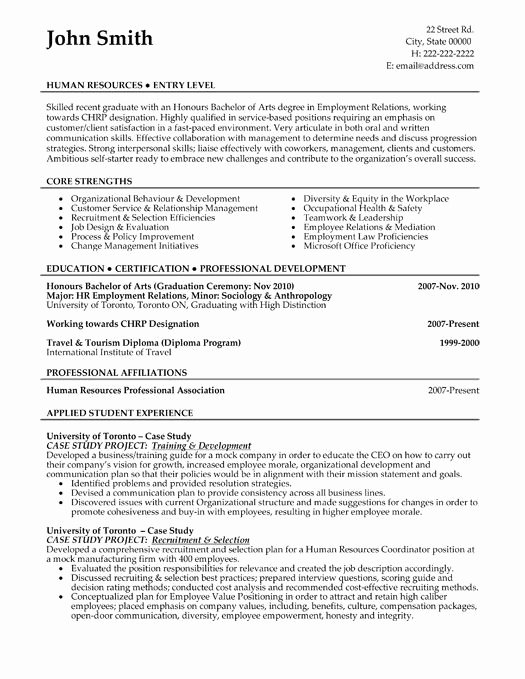 Sales and Marketing Resumes Samples Best Of A Resume Template for A Sales and Marketing You Can