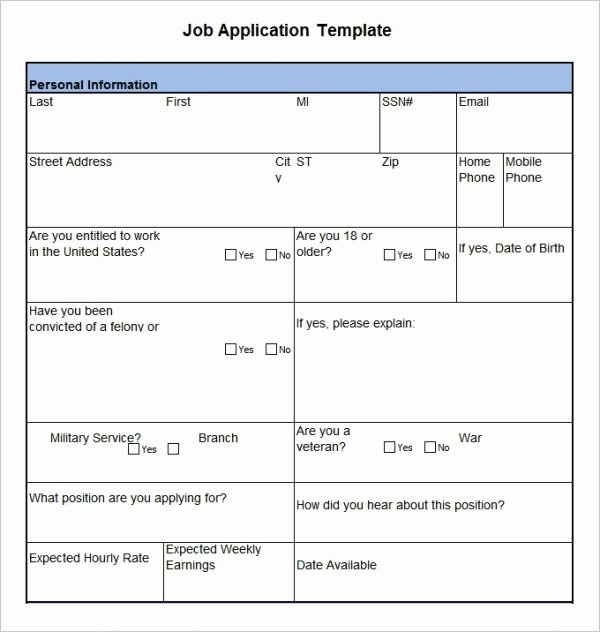 Sample Employment Application Word Best Of Job Application Template 19 Examples In Pdf Word