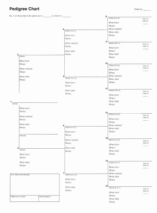 Sample Family Tree Chart Beautiful How to Start Your Own Family Tree