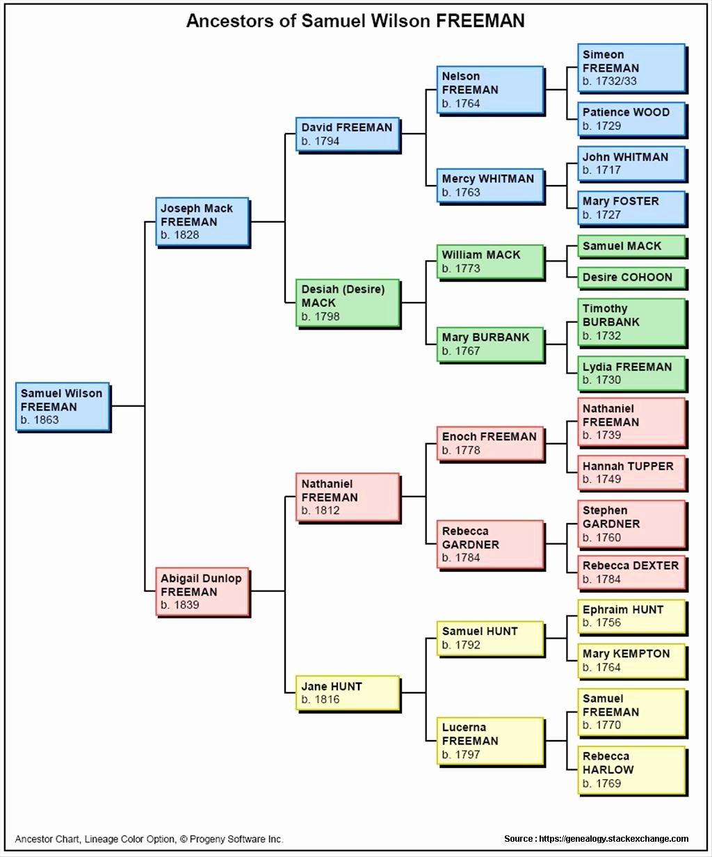 Sample Family Tree Chart Lovely Family Tree Chart Of Rizal