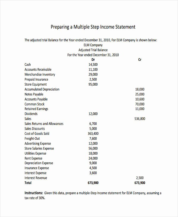 Sample Income Statement format Unique Free 53 In E Statement Examples &amp; Samples In Pdf