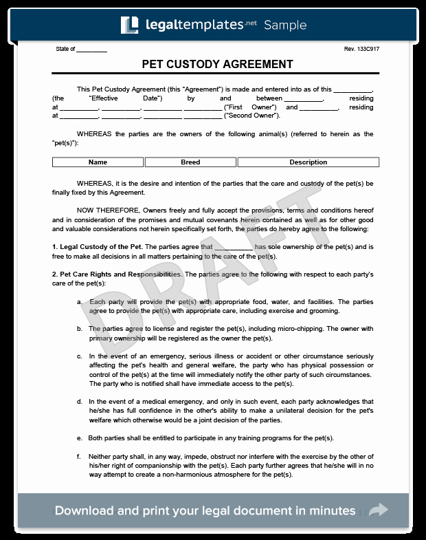 Sample Joint Custody Agreements Beautiful Pet Custody Agreement