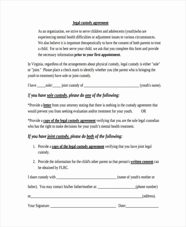 Sample Joint Custody Agreements New Free 8 Sample Custody Agreement forms In Pdf