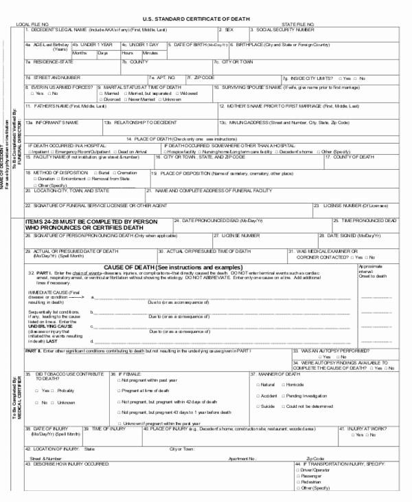 Sample Of Death Certificate Beautiful who issues Death Certificates