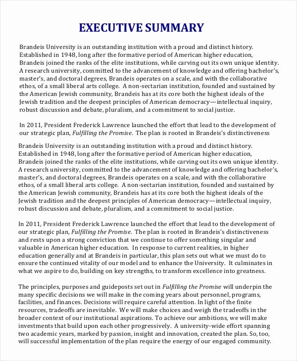 30 Sample Of Executive Summaries Example Document Template