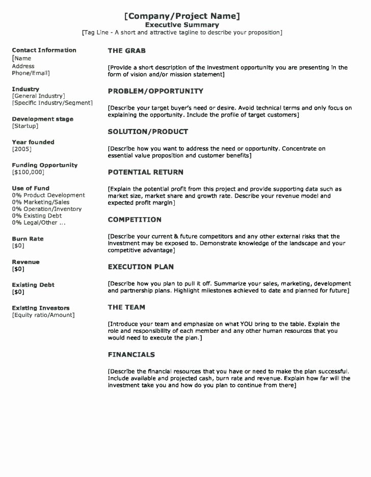 Sample Of Executive Summary Unique 11 12 Executive Summary Sample for Project Report