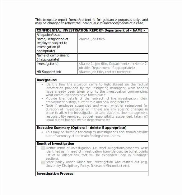Sample Of Investigation Report Fresh Summary Report Template 13 Free Pdf Apple Pages