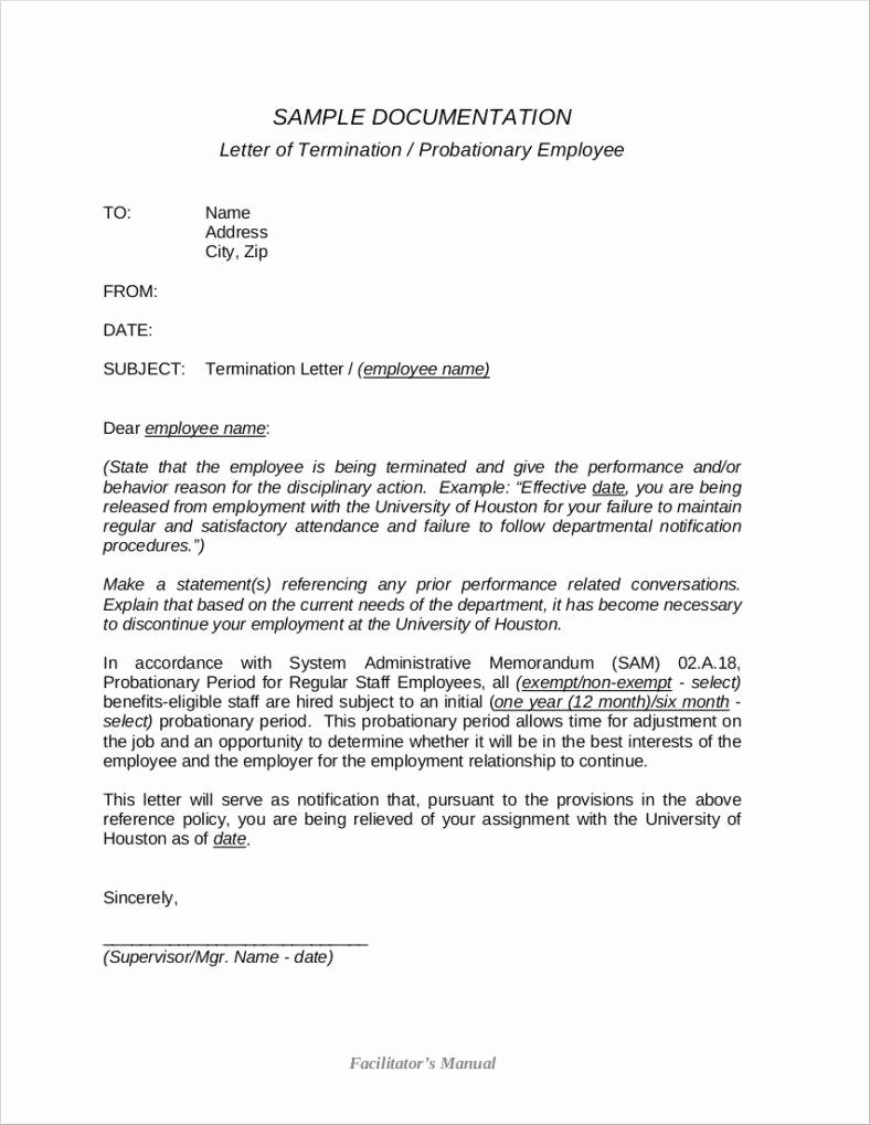 Sample Of Termination Letter Beautiful 8 Work Termination Letter Free Samples Examples formats