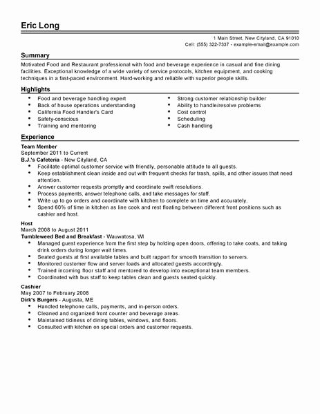 Sample Resume for Restaurant New Restaurant &amp; Bar Resume Examples