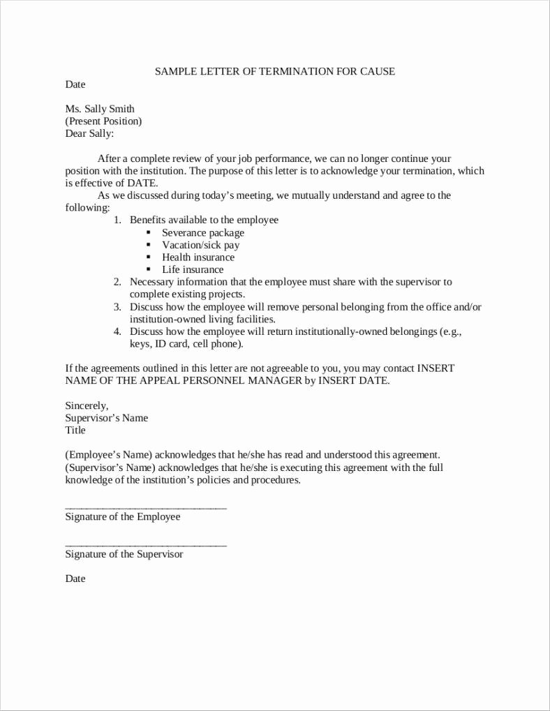 Sample Termination Of Employment Letter Elegant 8 Work Termination Letter Free Samples Examples formats
