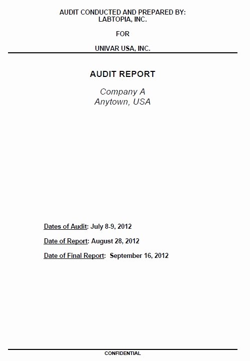Samples Of Audit Report Awesome 13 Free Sample Audit Report Templates Printable Samples