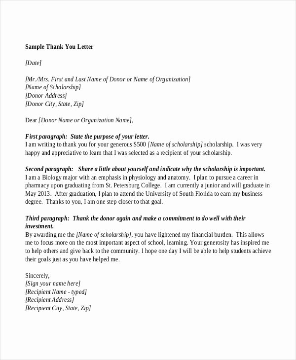 Samples Of Thankyou Letters Unique Sample Letters 31 Free Documents In Pdf Doc