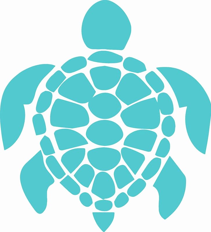 Sea Turtle Stencil Template Fresh 229 Best Images About Cricut Expression Air On Pinterest