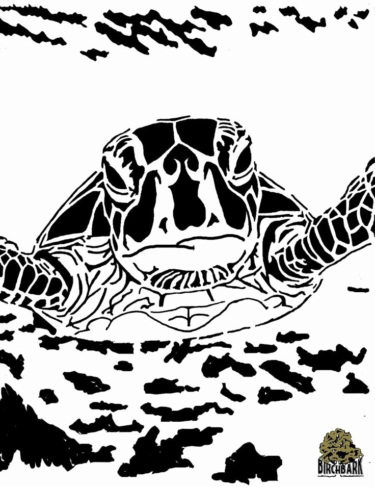 Sea Turtle Stencil Template Luxury Sea