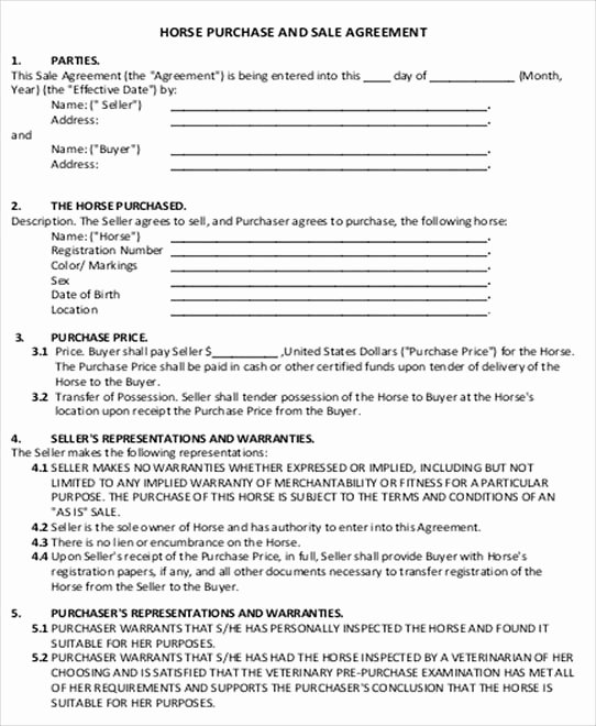 Simple Buy Sell Agreement form Awesome Contracts Can Prevent Legal Problems when Selling A Horse